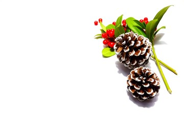pine cones on white background