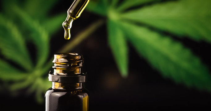CBD Hemp oil, Hand holding droplet of Cannabis oil against Marijuana plant. Alternative Medicine