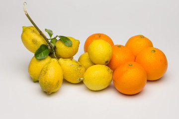 Still life of Lemons and oranges and other vegetables