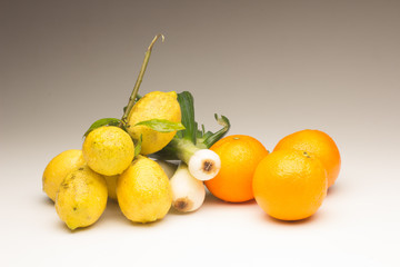 Still life of Lemons and oranges and other vegetables