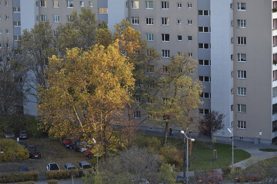 Herbst an der Adalbert Stifter Stra&szlig;e