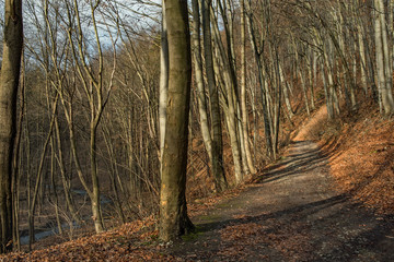 Obraz premium Dolina Racławki