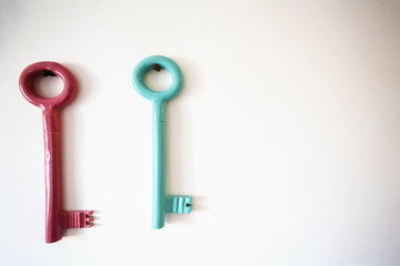 Metal key holder on light wall indoors