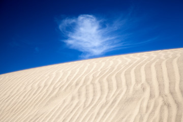 Fototapeta na wymiar sand and wind pattern on dunes