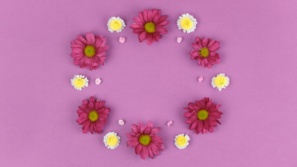 Chamomile flowers in a circle Decorative.
