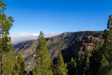 Gran Canaria, January