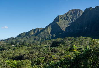 Steep tree covered mountain ridge rises above the Ho'omaluhia Botantical Gardens on Oahu