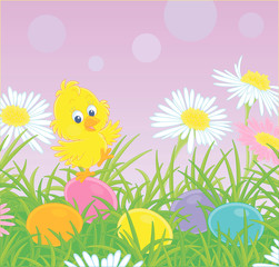 Fototapeta na wymiar Little yellow chick among colorful flowers and painted Easter eggs in thick green grass on a sunny spring day, vector cartoon illustration for a greeting card