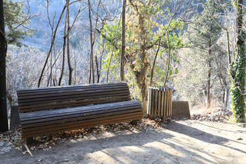 View of wooden bench