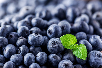 Freshly picked blueberries background. Juicy and fresh blueberry with green leaves. Bilberry antioxidant healthy forest food.