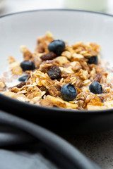 Whole oats breakfast, granola with dried fruit and blueberry, milk and honey. Healthy food, clean eating. Copy space.