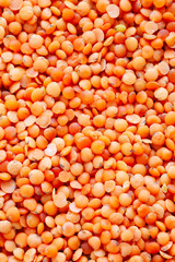 Red Lentils texture background full frame. Texture of red lentils.