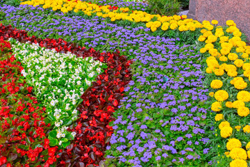 Beautiful flower beds near the house. Landscape gardening. Ornamental gardening.