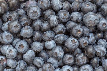 Fresh wet blueberries background with a moisture on a heap of berries.