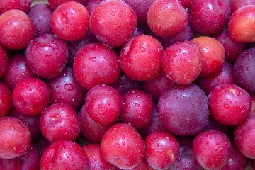 Wet food fruit plums. Texture background of fresh red plums.