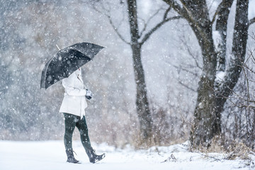 Woman with black umbrella in snowfall. Walking during snow storm with umbrella. Snow calamity and cold weather concept.