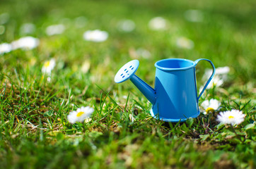 Little watering pot with water and flowers © galyna0404