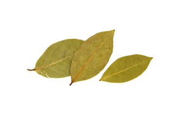 Bay leaves on white background. Spice aromatic.