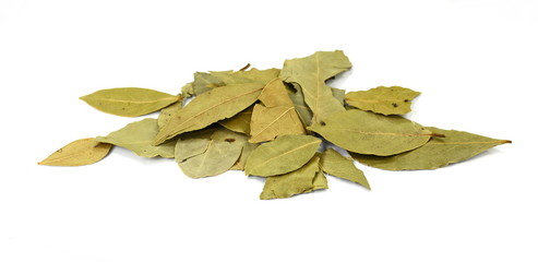 Bay leaves on white background. Spice aromatic.