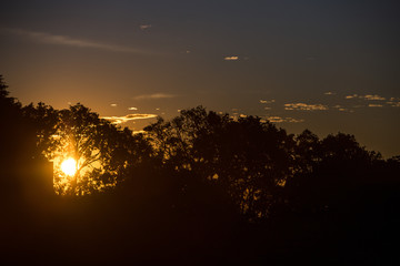 Amanecer 