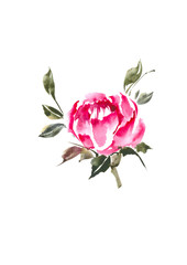 Beautiful spring flower. Pink flower bud. Watercolor background.