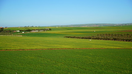 Bright landscape of Morocco, breathtaking curves of mountains, stunning combination of hills & farm land,inadvertent distribution of houses & huts, raw impression of pure nature.