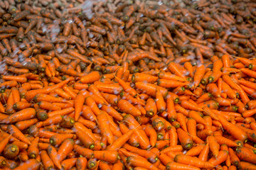 Un-washed and dirty carrot washing on throw pipe water. Food background. Near Savar District at Dhaka, Bangladesh.