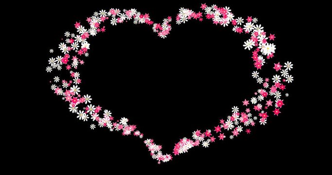 Floral heart on a transparent background. White and pink flowers form a heart shape