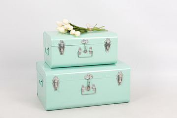 Maletas verdes y tulipanes blancos.