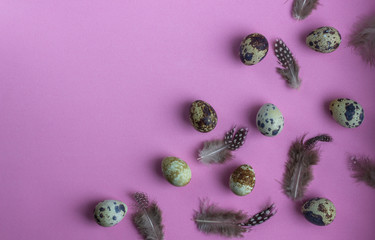 Easter composition with quail eggs  on a pink background. Greeting card. Flat lay. Copy space for text.