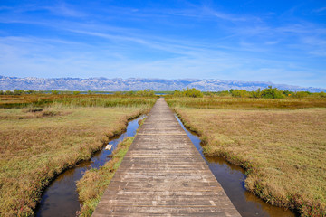Obraz premium Eco Park of the Nin Lagoon. Nin’ s lagoon. Endemic, endangered species. Wooden trails and bridges. Muddy and sandy shore, marshes and wetlands. Home of great number of bird species. Scenery of Velebit