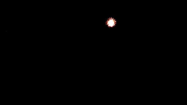 Static view of palm style fireworks going off with brocade fireworks exploding below them, showering the sky with glitter