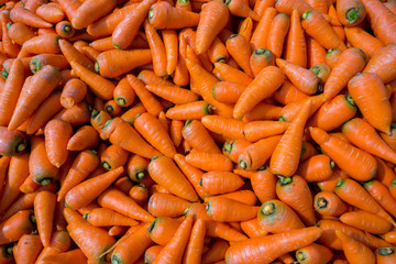 Colorful Organic carrots. Food background. Close-up, and washed carrots. Near Savar District at Dhaka, Bangladesh.