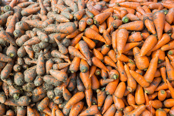 Arrange alongside washed carrots and dirty carrots. Food background. Near Savar District at Dhaka, Bangladesh.