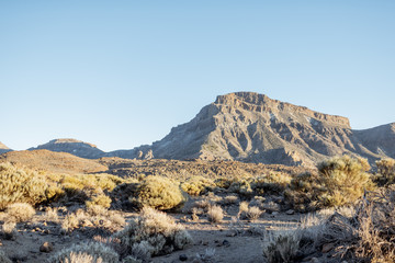 Volcanic landscape with rocks on the background at Teide national park on Tenerife island during a sunset