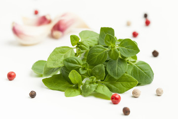  A bunch of oregano, garlic, peppercorns on a white background.