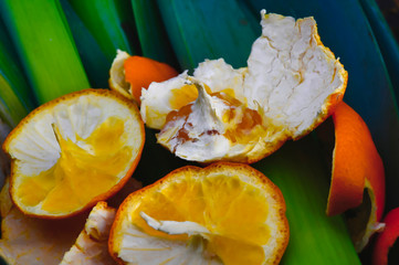 View into a container with organic waste for recycling, which consists of leeks and orange peels.