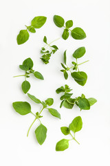 Oregano isolated on white background. Top view.