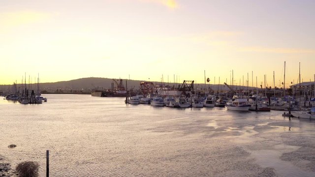 Sailboats docked at the quay in Long Beach port. Beautiful landscape lit with golden hour sunlight. Still shot