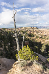 Bryce Canyon
