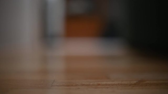 Lensball or crystall ball rolls across the floor. Moving left to right, right to left for creating transition or effect.
