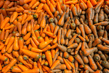 Arrange alongside washed carrots and dirty carrots. Food background. Near Savar District at Dhaka, Bangladesh.