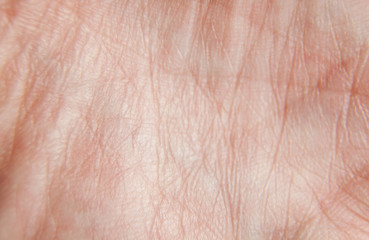 fragment of the skin of a human palm. Macro shot of palm lines.