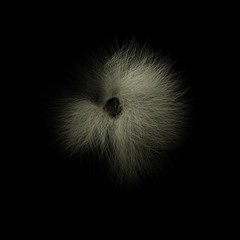 Imagen en 3 dimensiones con forma de pelos sobre fondo oscuro