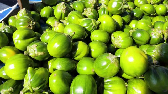 Jilo Scarlet African Eggplant Stock Photo - Download Image Now - Brazil,  Brazilian Culture, Brazilian Ethnicity - iStock