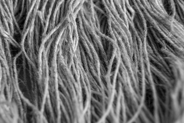 Macro shot of flax threads. Natural texture or fiber pattern.