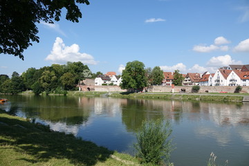 Fototapeta na wymiar Donau in Ulm