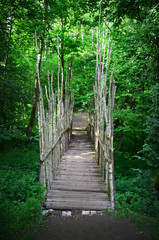 Fototapeta premium Beautiful wooden bridge made of birch branches in a green forest. Wallpaper design, screensavers.
