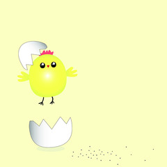 Baby shower card. Chick vector print. Yellow chick greeting card, cartoon illustration.  Kids cards for  the birthday, banner, poster.  Birthday greetings.  Easter.