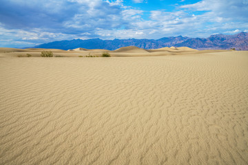 Naklejka premium mesquite flat sand dunes in death valley, california, usa